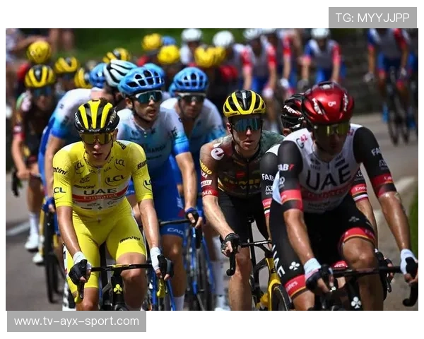 欧洲环法:法国选手崛起,骑行激情四射!,欧洲环线游